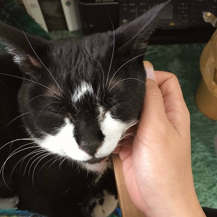 9149f876 30d4 4544 84c8 3a9047655dfb 1773665965056