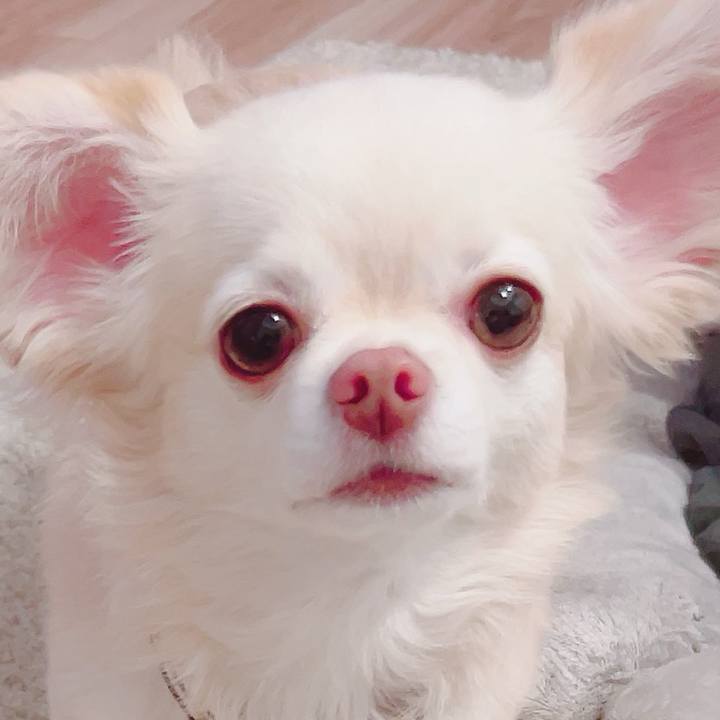 914a0650 e5c5 4326 a7db 05a2b87c991d 1726149415017