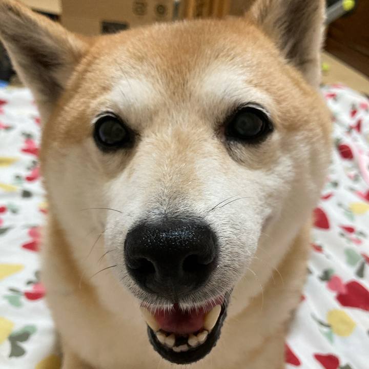 914a0e51 3ec0 440c 9826 bef481774848 1624618739407