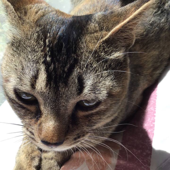 914a8ac2 4b43 47ff 83b0 15ef624954c1 1588396323016