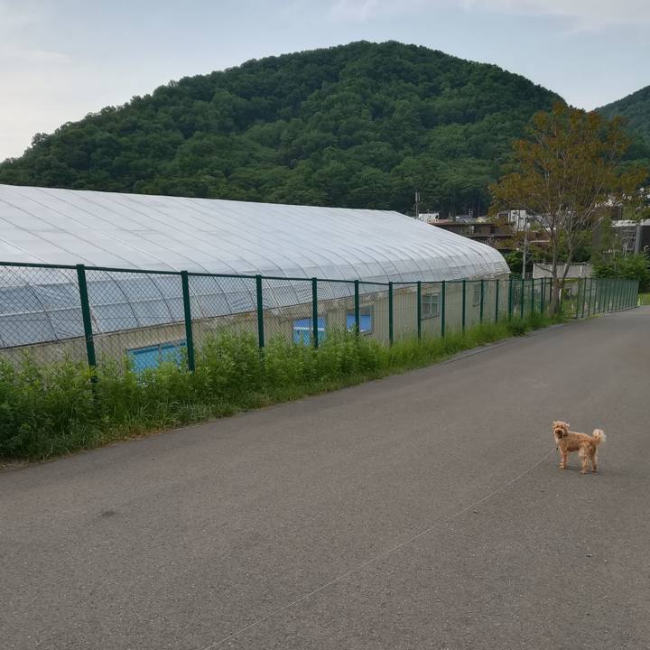 914a8bfe ce36 485e b7a6 78f7aec384b8 1527979206860