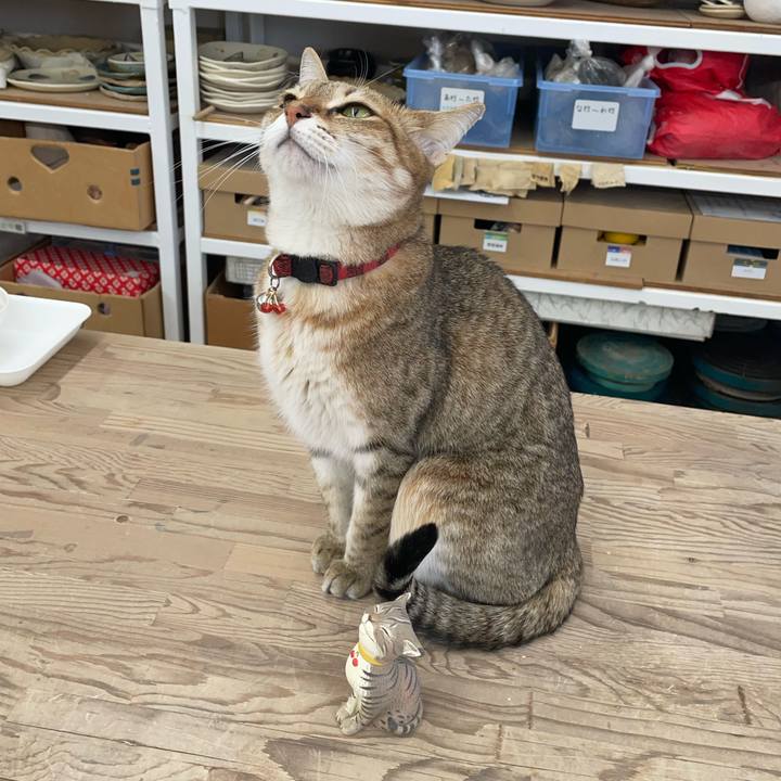 914ab75c 45cf 4bfb a6a8 0ec3c622383f 1710994458445