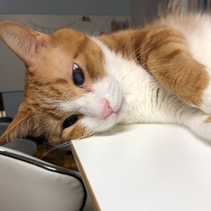 914ad78d 60ce 47e0 a93a c8b8cec39e62 1549538059692