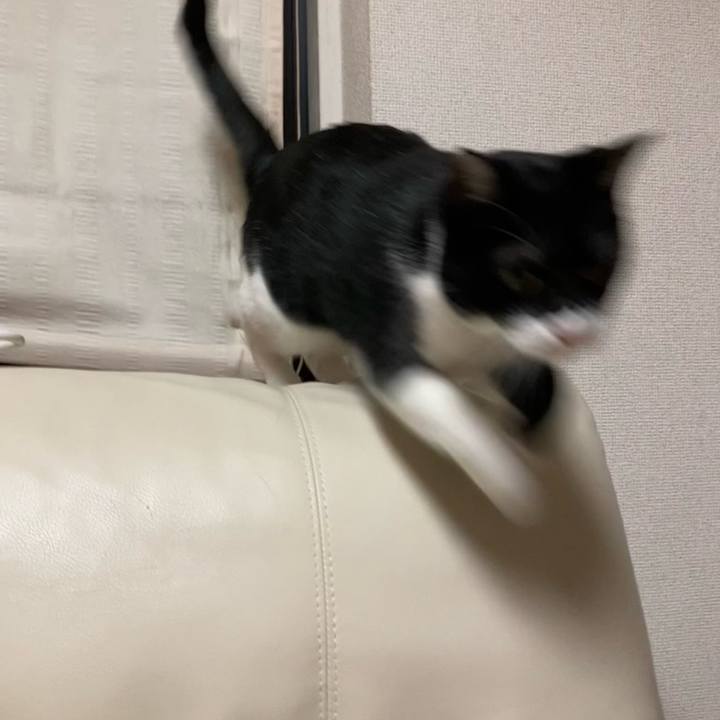 914ad833 5a75 46a1 9f25 43e1f1443b71 1663744145861