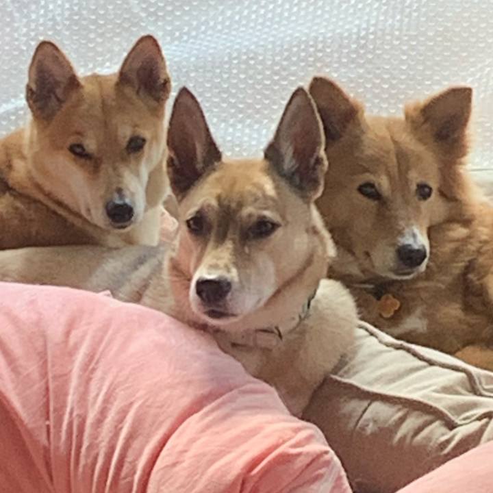 914aea7c d618 4549 8102 ad69f6161f85 1677401687493