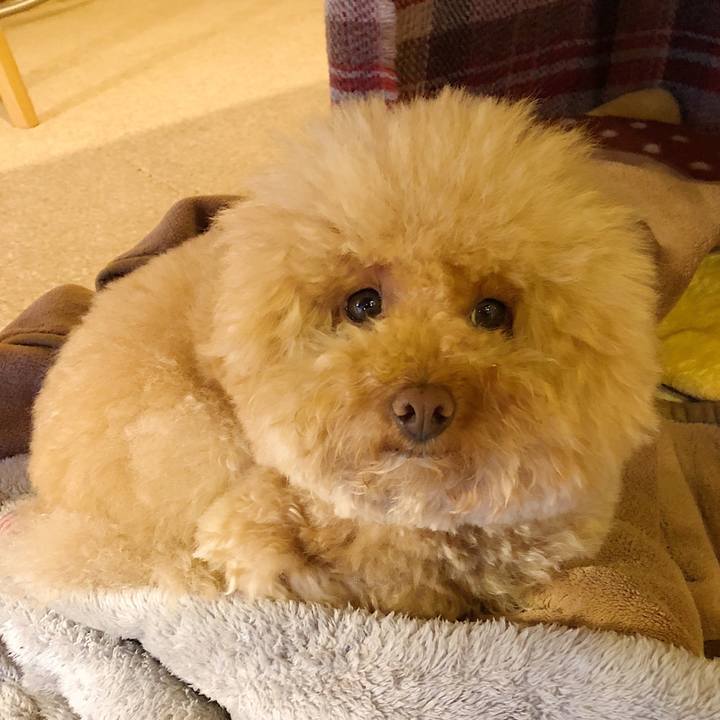 914b2bd3 ad64 4c56 8109 abcb239c028d 1521714871431