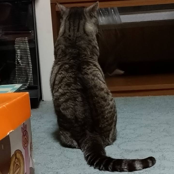 914b54a6 be97 4c4e a313 03f5874f3c33 1620478459627