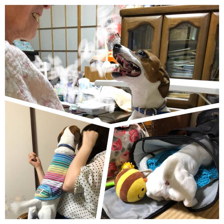 914b574f 3afd 4ade 8e2f 45a33096d453 1528649209354