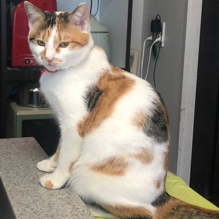 914b869b b164 4bab 8f0f a4dac721d790 1579563195405