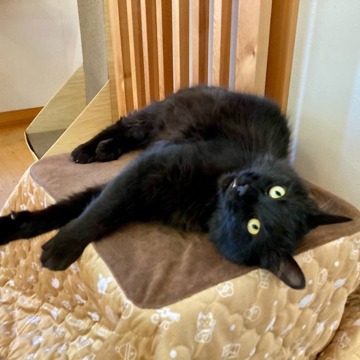 914bee92 2b8f 48f3 a704 4c5180bfea6d 1746599382751