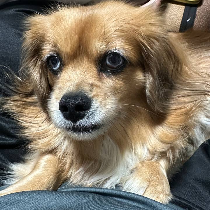 914bf65e 444e 4ebb ba30 68cfb324590b 1701119489114