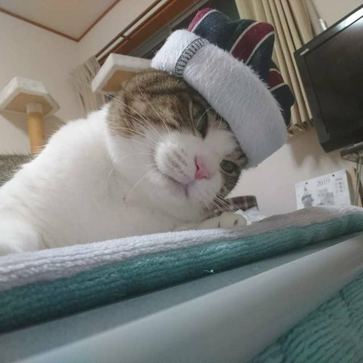 914bf7ec 2047 418c ac6b 8fdd4864e775 1544920406875