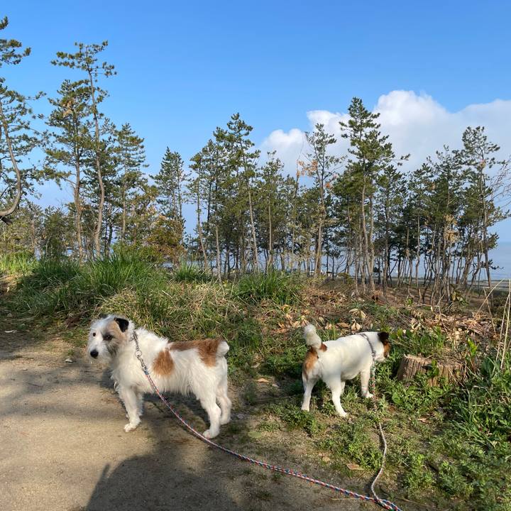 914bfa07 3fe1 4816 bc34 fd76bdcab824 1680314066795