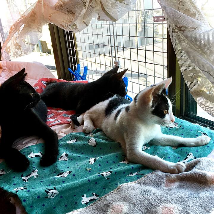 914c1ec7 27d0 4766 9bfb 08f4ae741d39 1627870128119