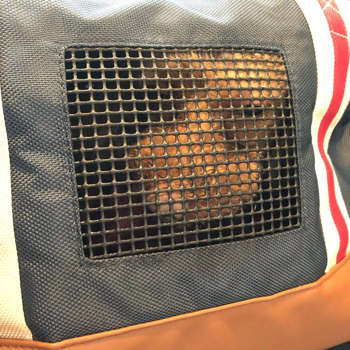 914c2341 796b 4388 b898 bd2b684a1b43 1554352077370