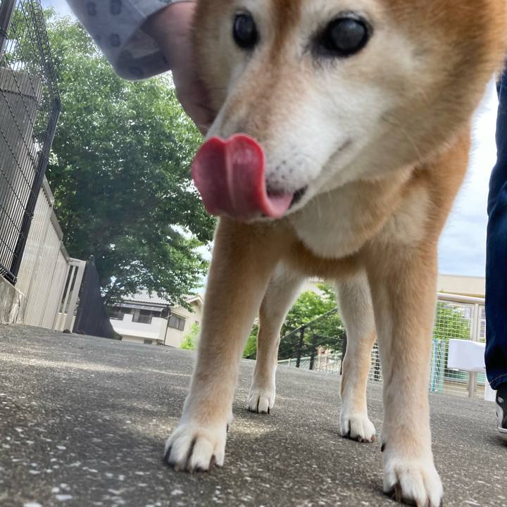 914d035c c7bc 4466 b004 b5c612e4e880 1685937456969