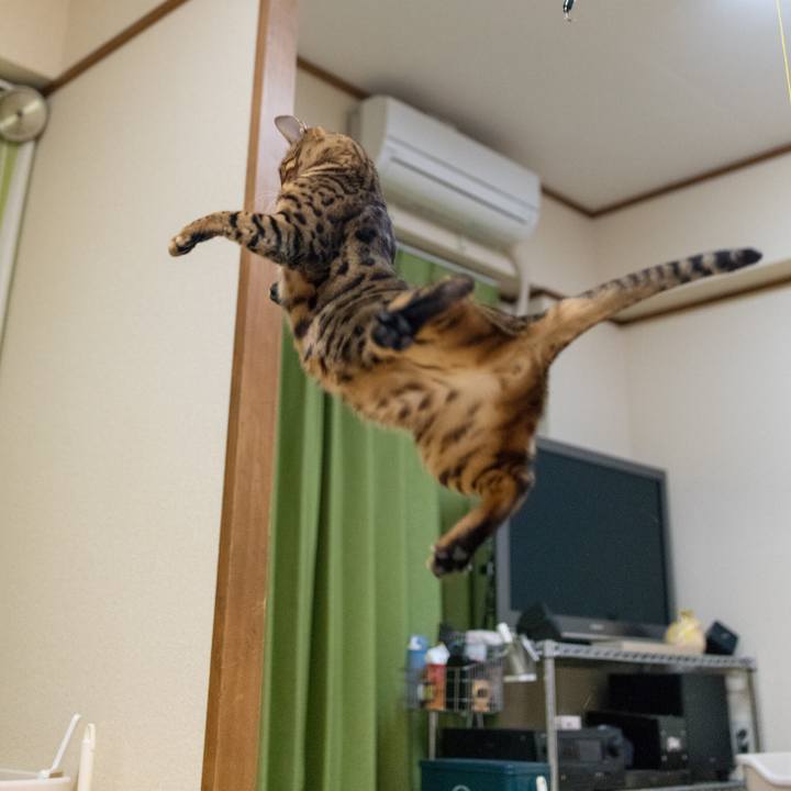 914d0640 434e 42ae a443 be1a6268010c 1518605705126