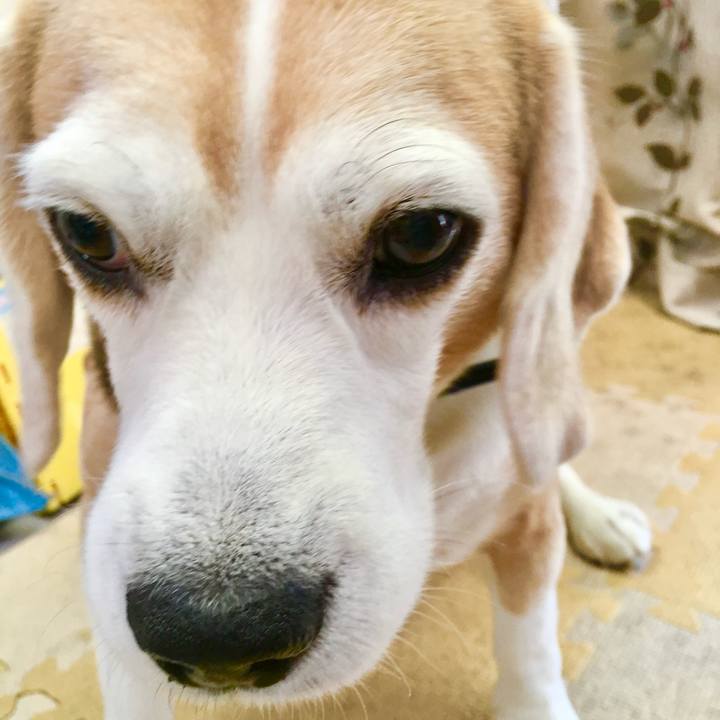 914d4b66 2135 48f8 b4c8 7c9366251897 1762574058665