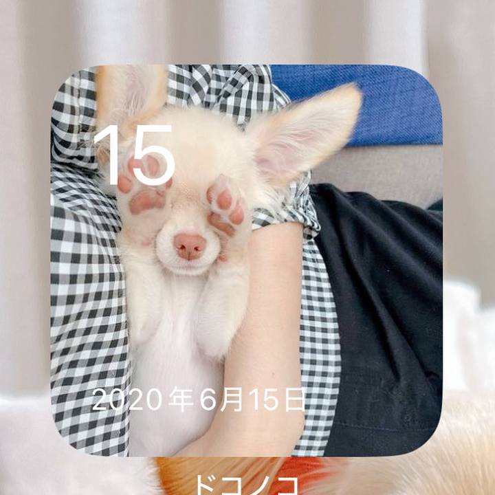 914d5f8f f491 4e40 96ff c4ade83924bb 1749965016907