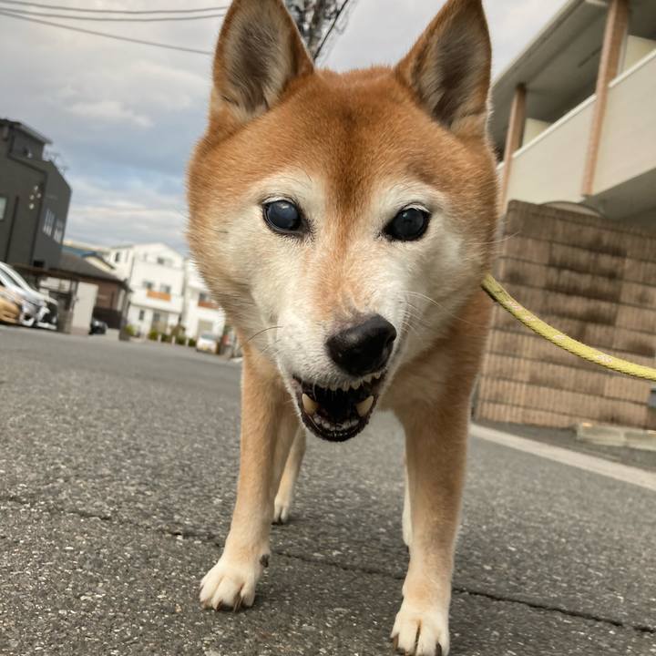 914d703d d938 4a0a 87b4 f773470fbade 1705912136272