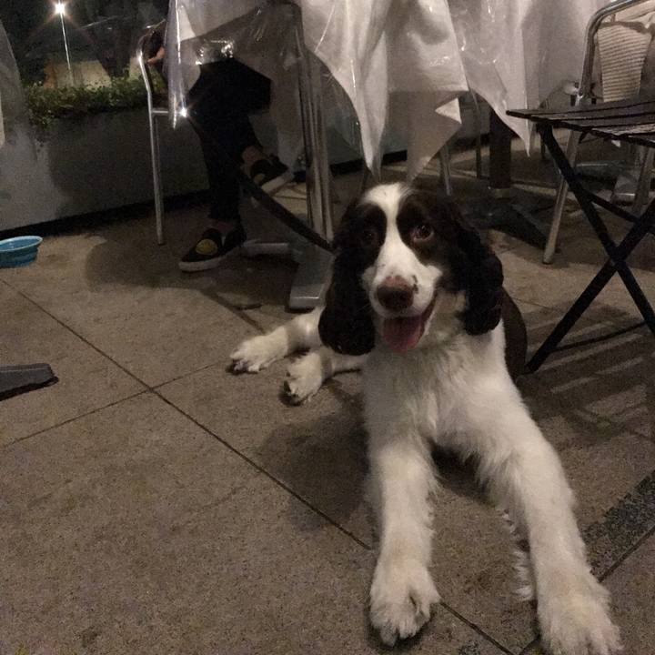 914d8992 f964 4bc7 a9af 0a05887d13af 1509982178289