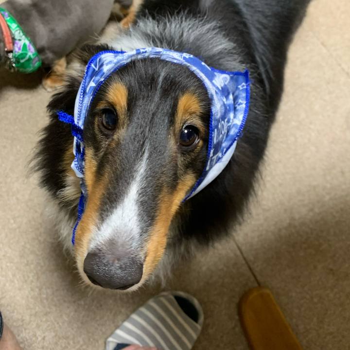 914d8da7 7bf1 4fa6 9712 2584b945f12d 1592258340369