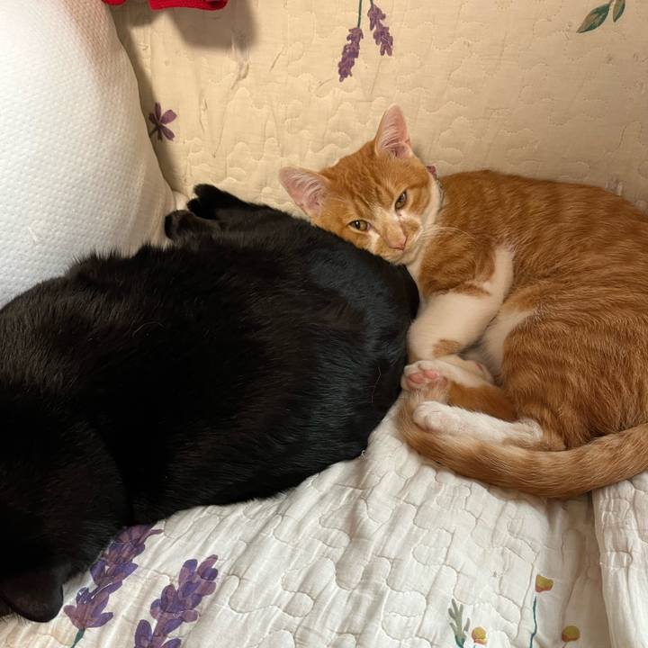 914d9040 5007 4a64 978b c5bdf5fcd6f4 1669699775496