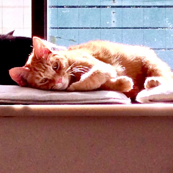 914d9125 6149 4d7e aa4b 5963eff9fc75 1609396612605