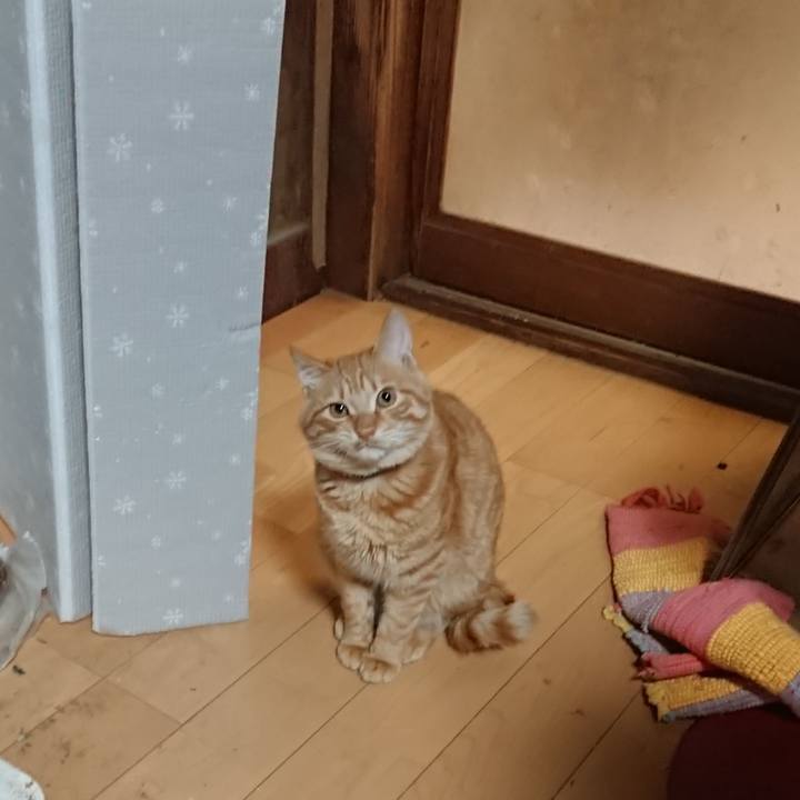 914dc659 df3f 43d2 b4e1 994a52935ca2 1639740232060