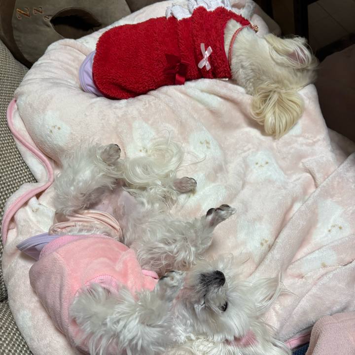 914dcedf 575d 4182 9720 70553b83339c 1737120479775