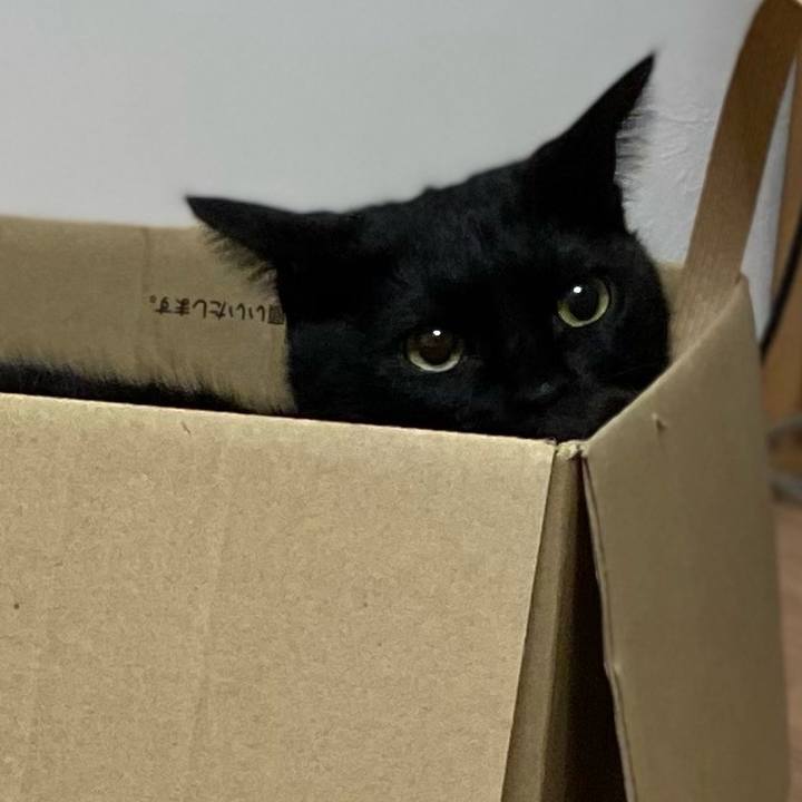 914ddae8 cbfe 473d aeed b9c5b144492f 1638183104788