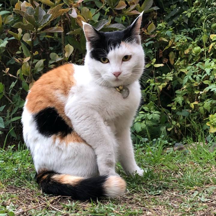 914e3949 198c 4ba0 b50e afc7420ffd99 1606774531654