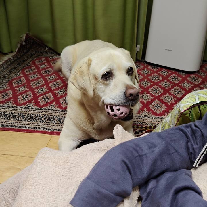 914e8c3f 32c8 4004 ba66 f22da4b56e7e 1730198911694