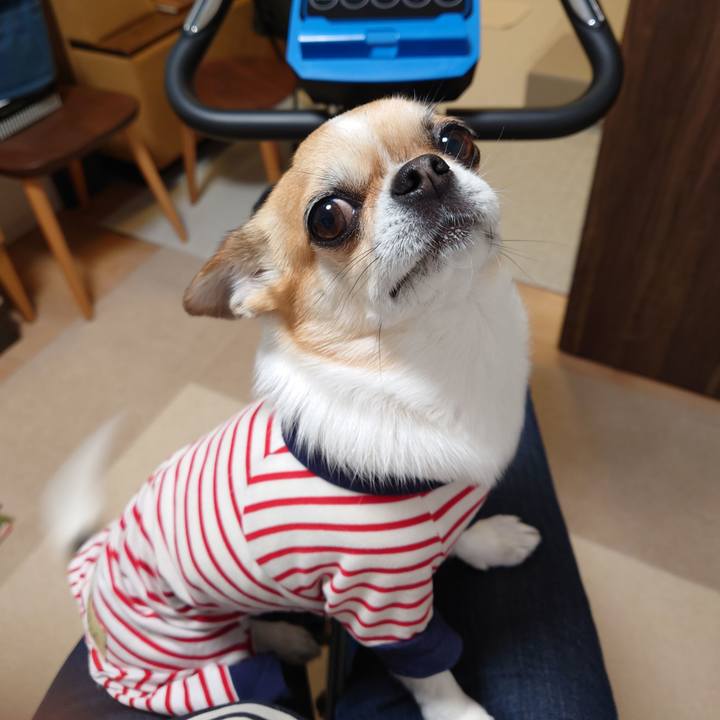 914ea6d8 bdb8 47db 9710 fc793b490c61 1684837078194