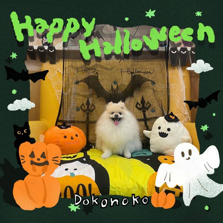 914eeef6 90d0 4fcf 9825 118e369af26a 1729294011364