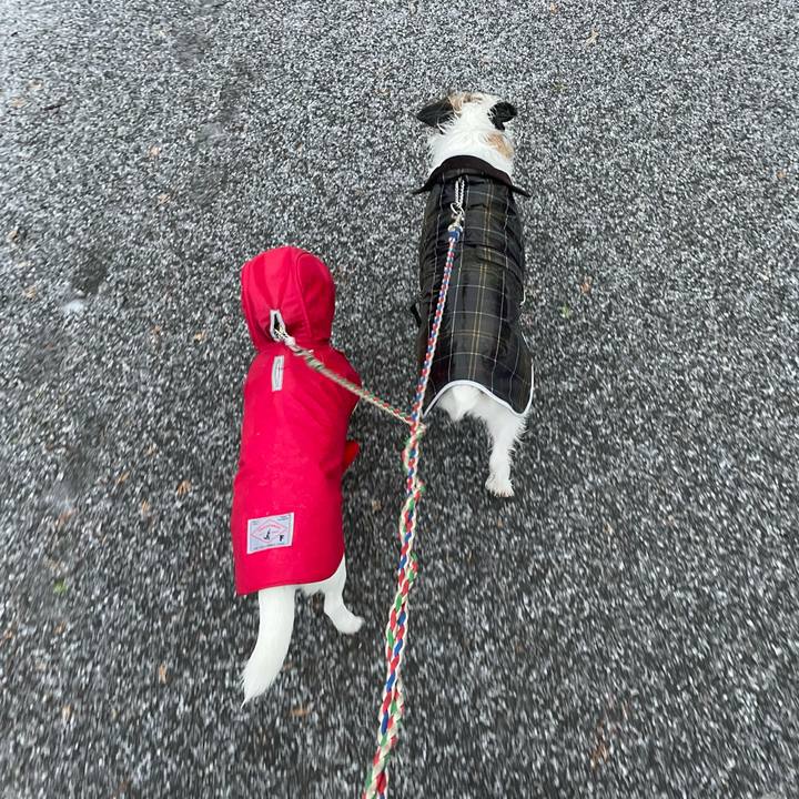 914ef6b3 3818 4b39 8022 b10e29139868 1672011936911