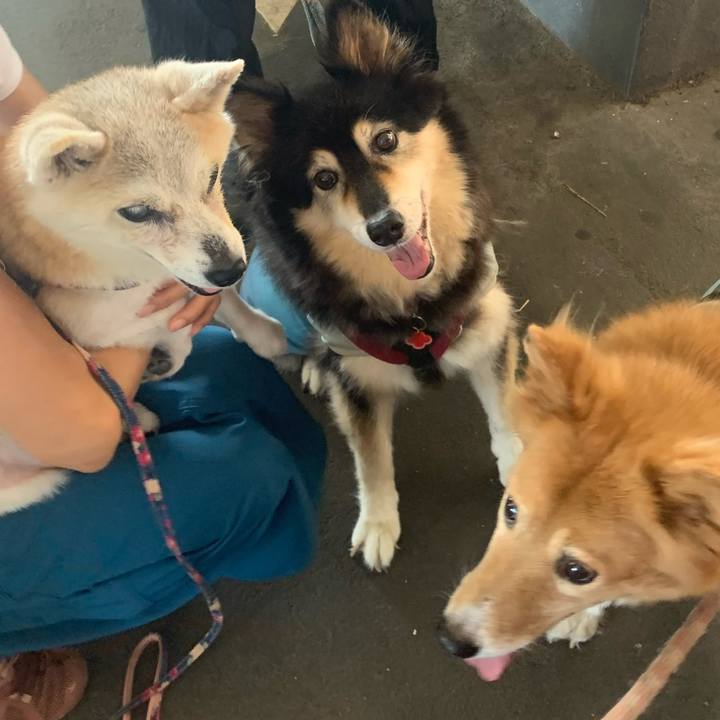 914f4fc2 8d1b 49f2 ba3e 59ee683ff2b9 1692458082472