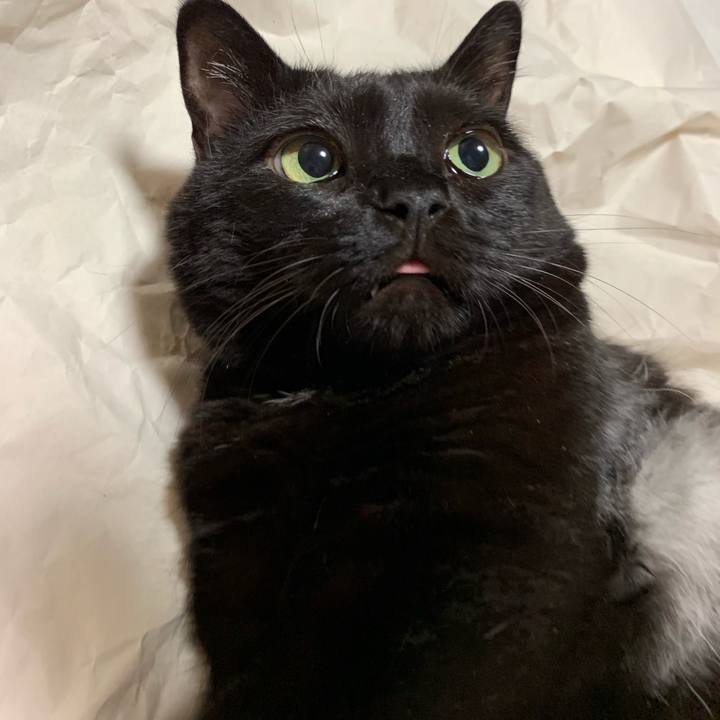 914f59a6 ea5c 479c 966a 9d88ad663bb1 1568600931903