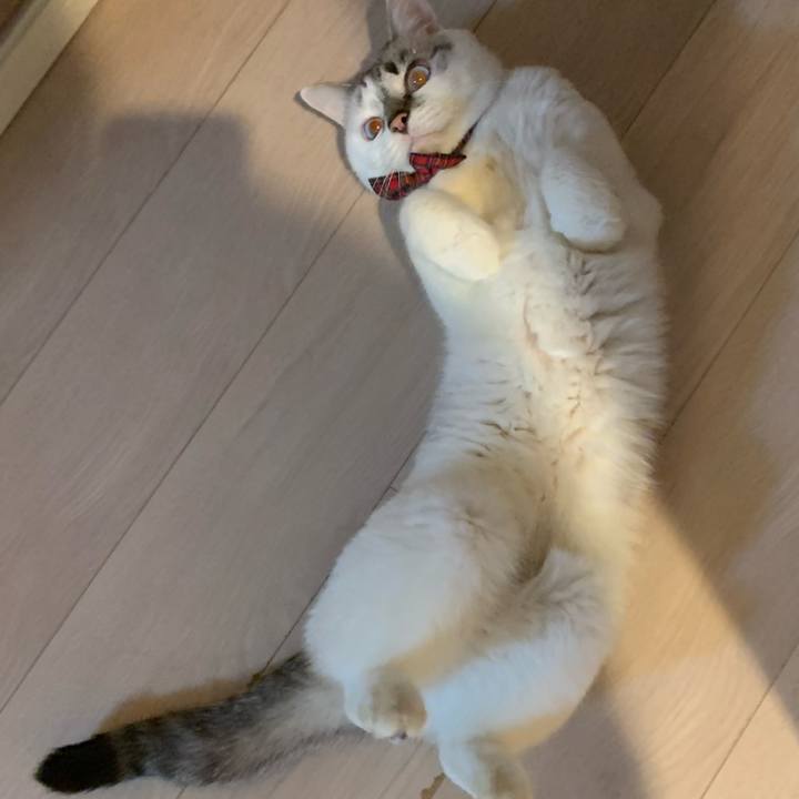 914f5c9b f284 4868 a901 f53253af0a67 1609725142281