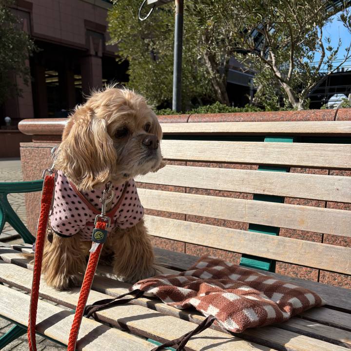 914f6eb3 b6f5 4862 b2ec 2765f839fff5 1769088761850