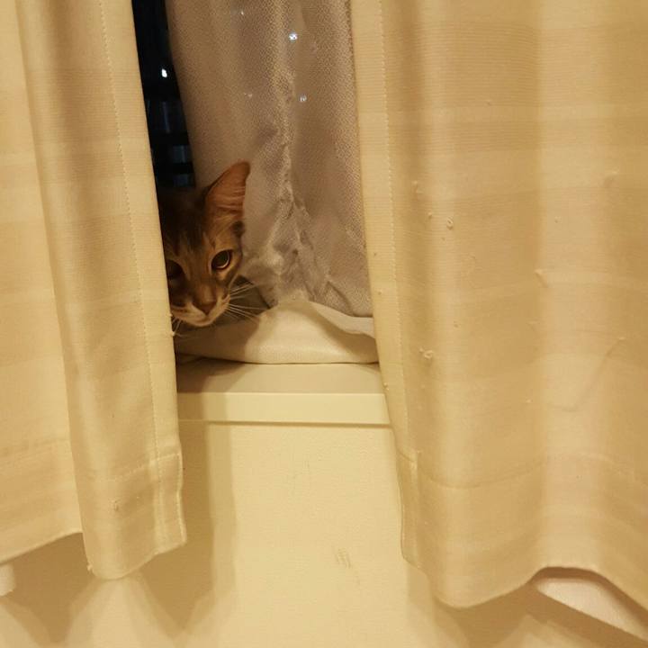 914fb640 1131 4a09 8a0e f404dfb59921 1550837294040