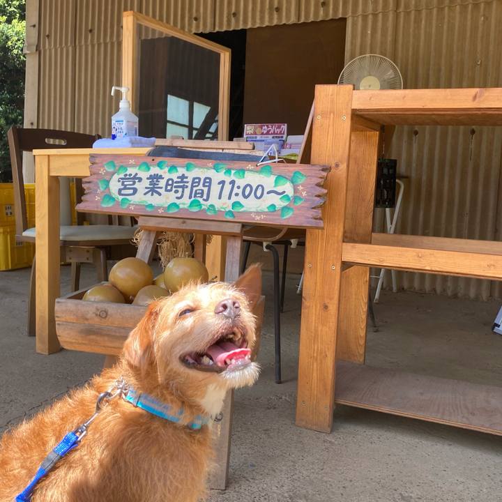 914fdfae fe73 4f31 8c43 87c16954371a 1629288171756