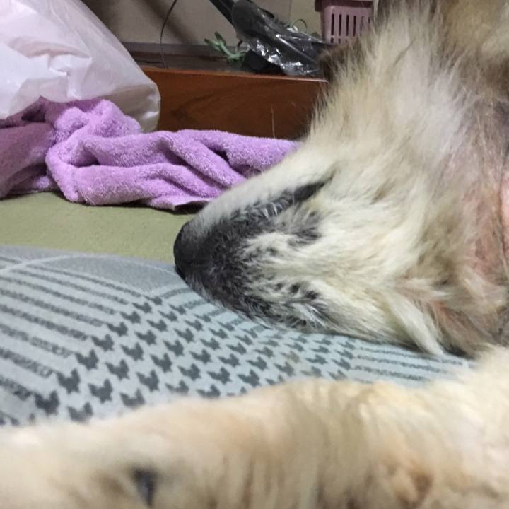 914ff564 1286 49df a4ba 83cf4a7e6f37 1626749340896