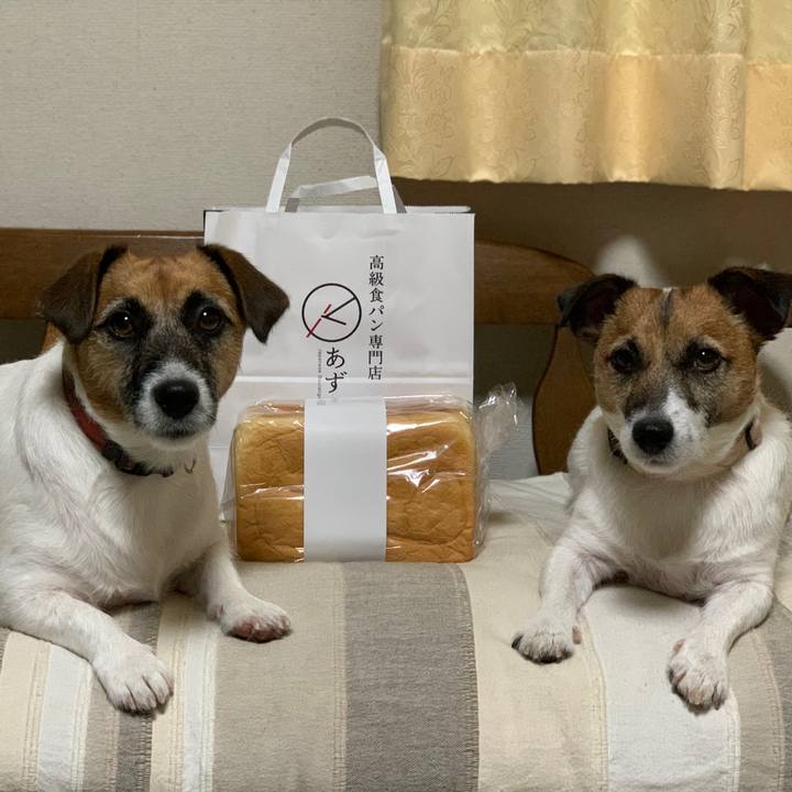 915031ed dabc 4631 aad5 3ce7d56fc60d 1569677784191