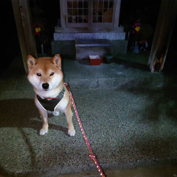 915075a9 a5c0 4180 9ed2 e1aabab7947a 1771638683259