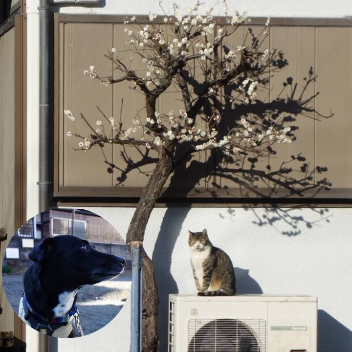 91507c88 b803 4de1 aecf 798c89556c21 1645493654563