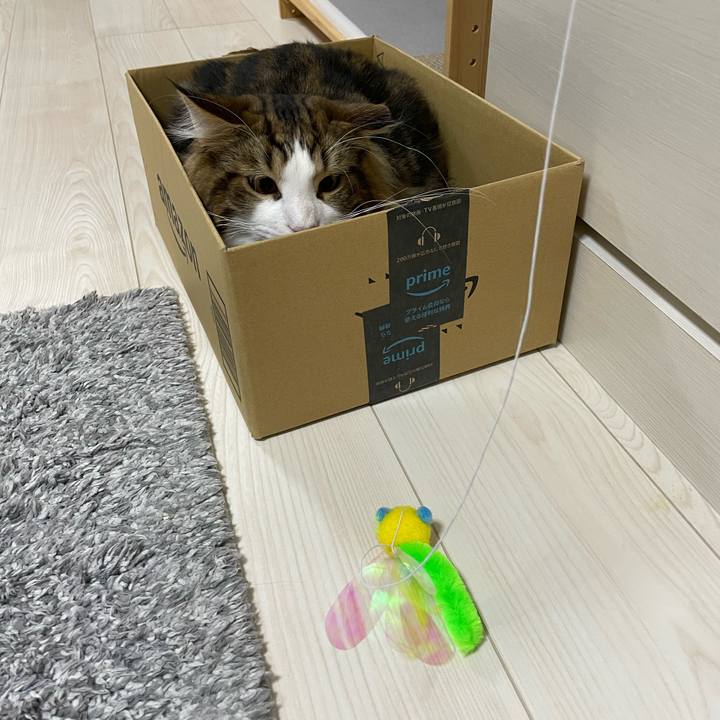 91509553 6e92 48c6 87d0 c4e6c7ee220c 1643889220564