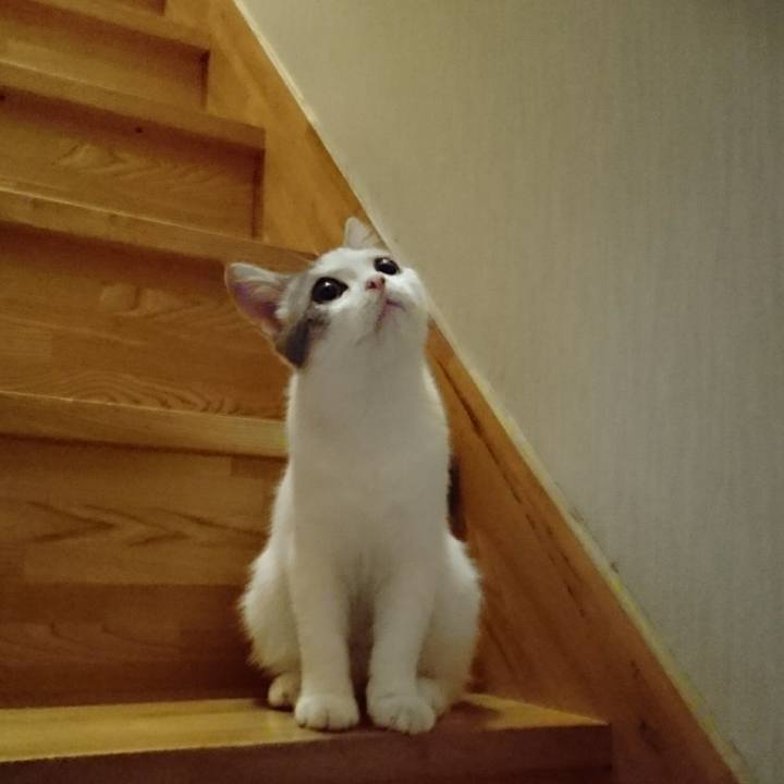 91509cd7 8e89 419e a463 462d3016b117 1536574126412