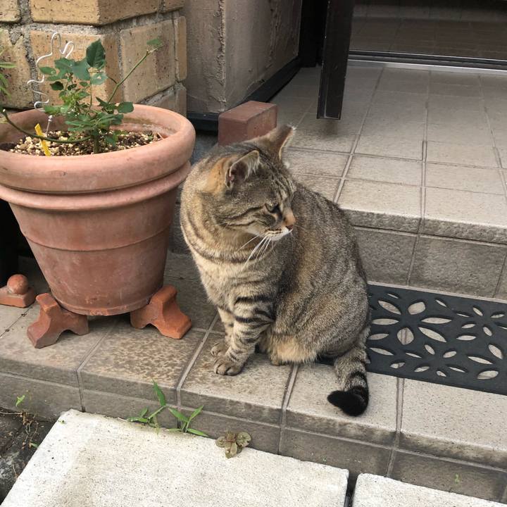 9150bee9 e11c 41b1 9015 09c856412e99 1526973761177