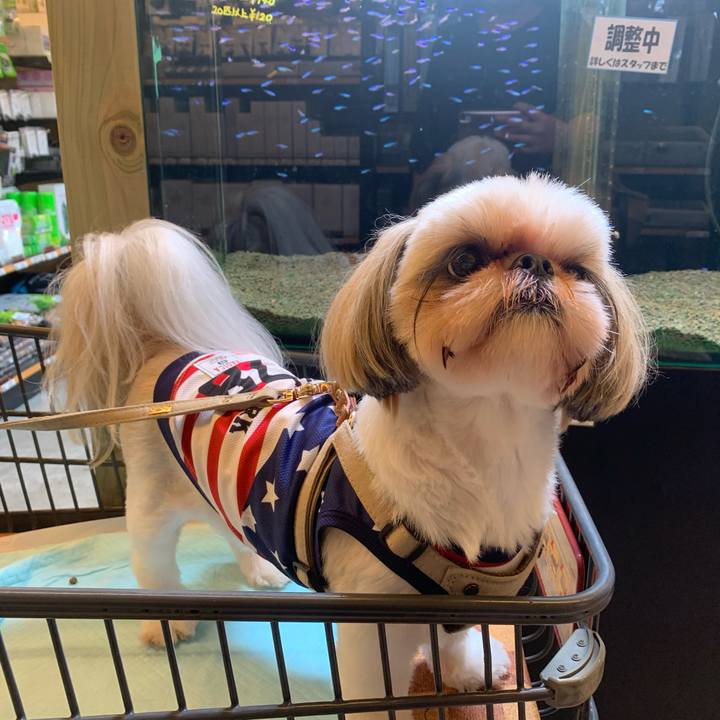 9150dcc4 e338 4071 8d95 b4f64311f344 1624083750745